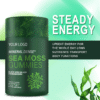 Sugar-Free Sea Moss Gummies Supplement